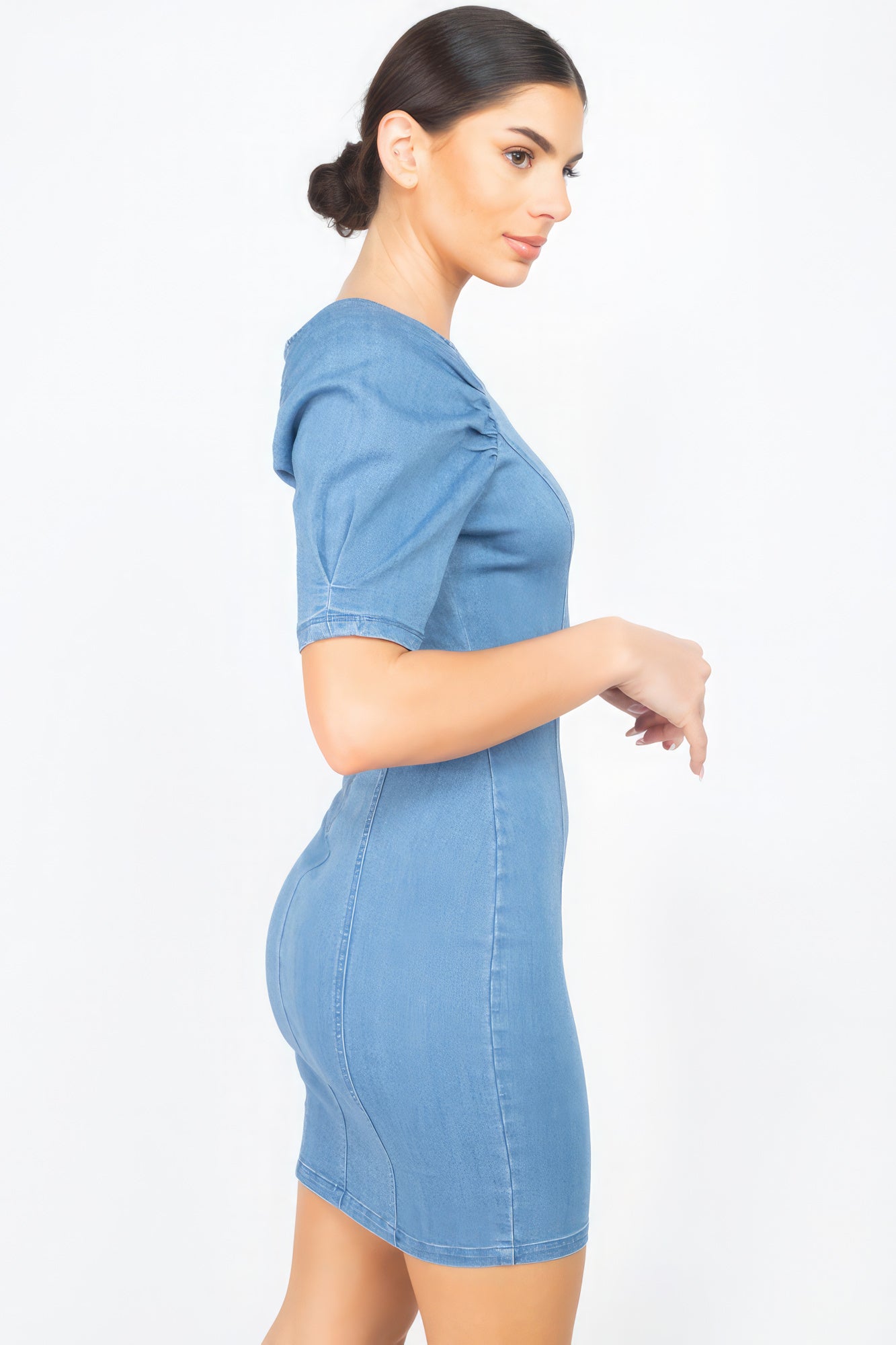 Puff Sleeve Seamed Denim Dress