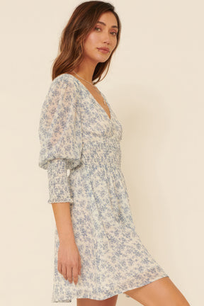 A Floral-print Chiffon Mini Dress